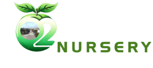 O2 Nursery - Vuon Cay An Trai Qui Hiem