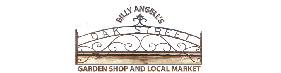 Oak Street Garden Shop