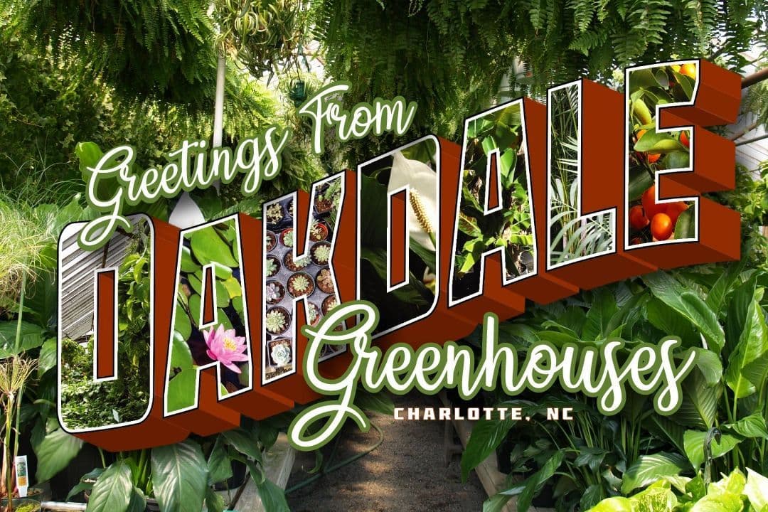 Oakdale Greenhouses, LLC