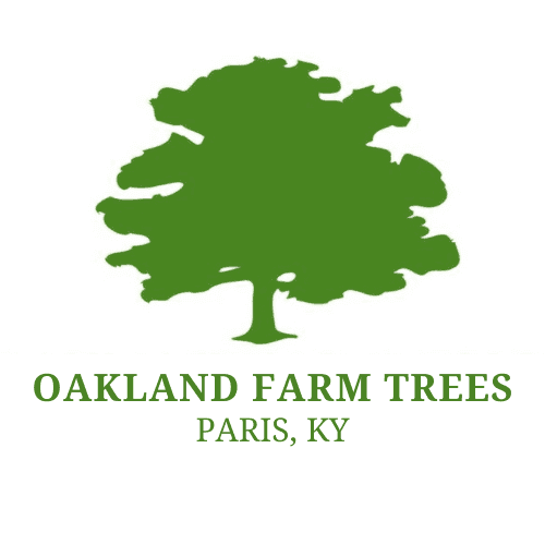 Oakland Farm Trees