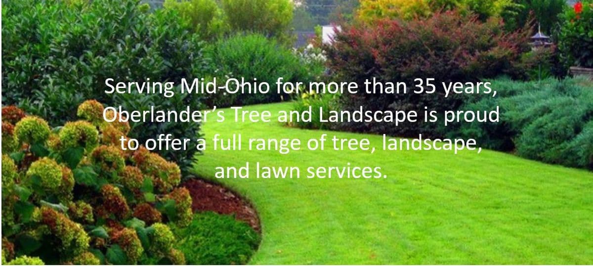 Oberlander's Tree & Landscape, LTD