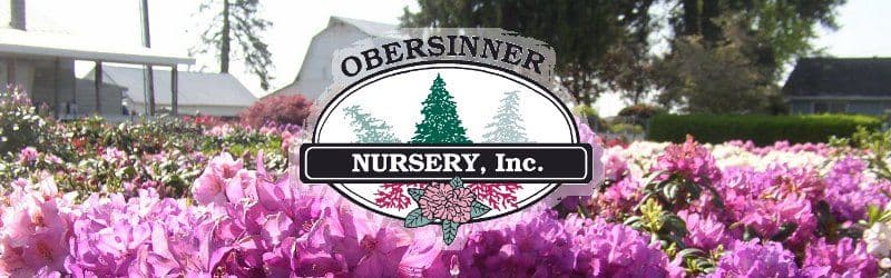 Obersinner Farms
