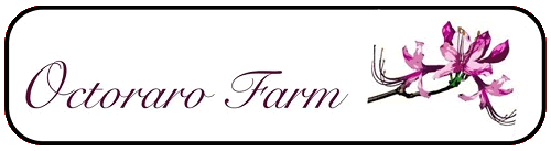 Octoraro Farm