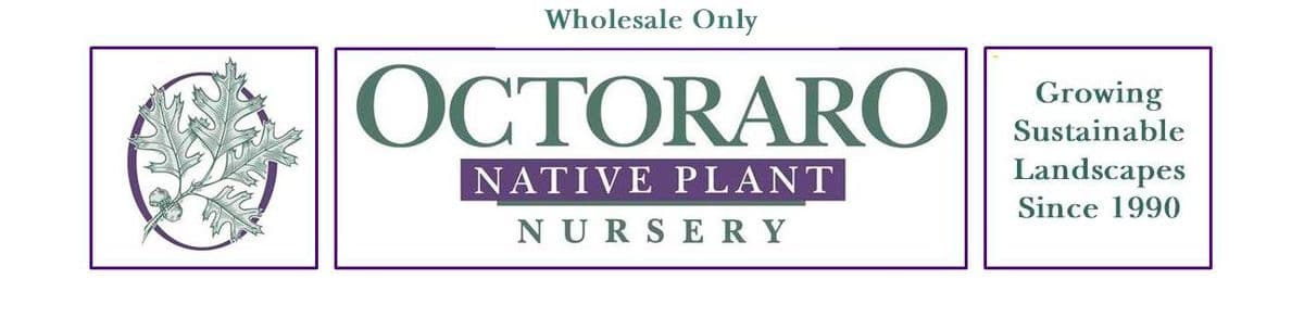 Octoraro Native Plant Nursery