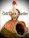 Odd Duck Garden
