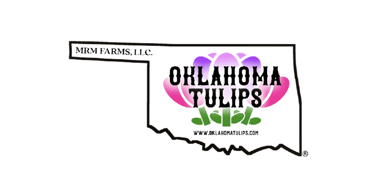 Oklahoma Tulips