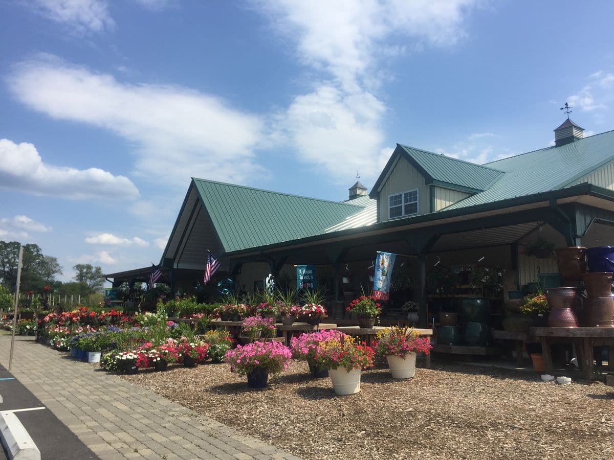 Old Mountain Farm Market