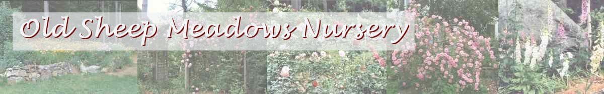Old Sheep Meadows Nursery