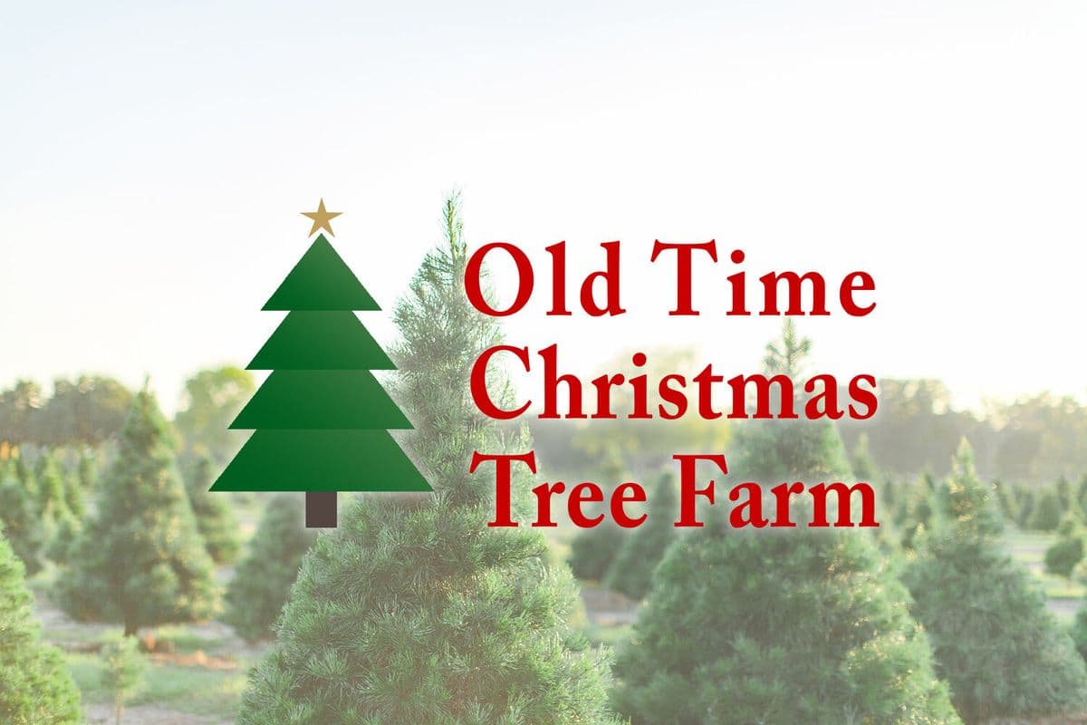Old Time Christmas Tree Farm
