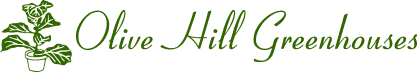 Olive Hill Greenhouses