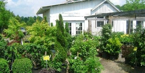 Olney Gardens Wholesale