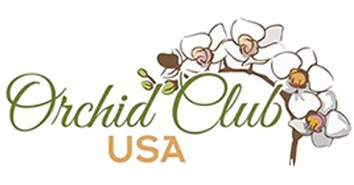 Online Orchid Bulk wholesale florist