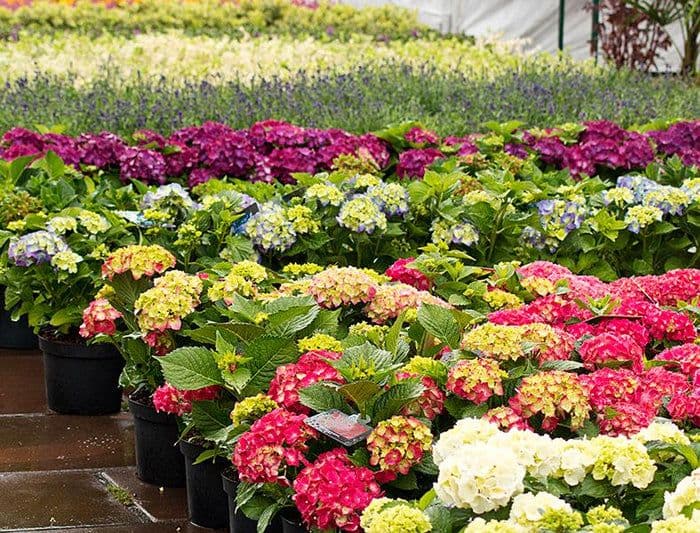 Orange Garden Center