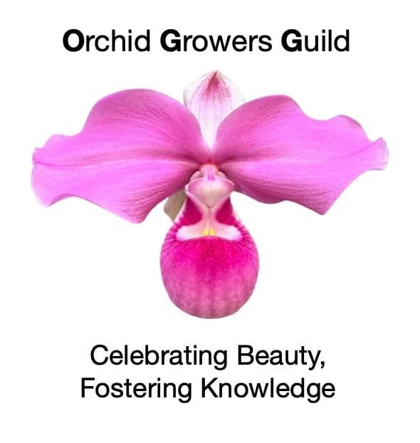 Orchid Quest