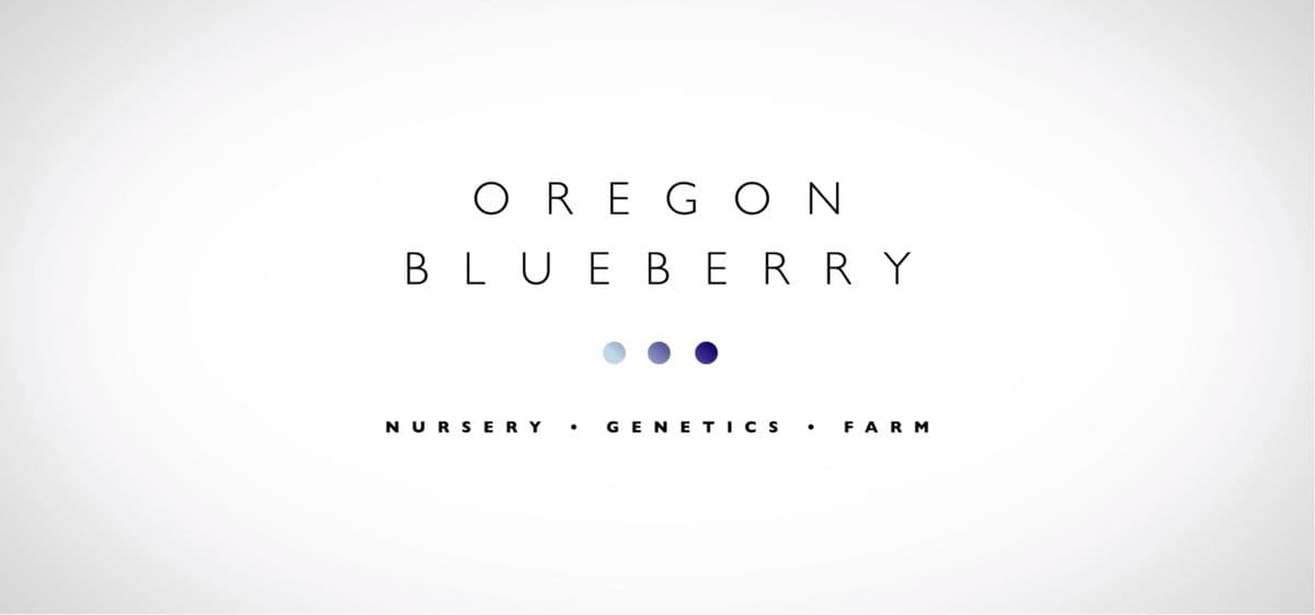 Oregon Blueberry | Nursery • Genetics • Farm