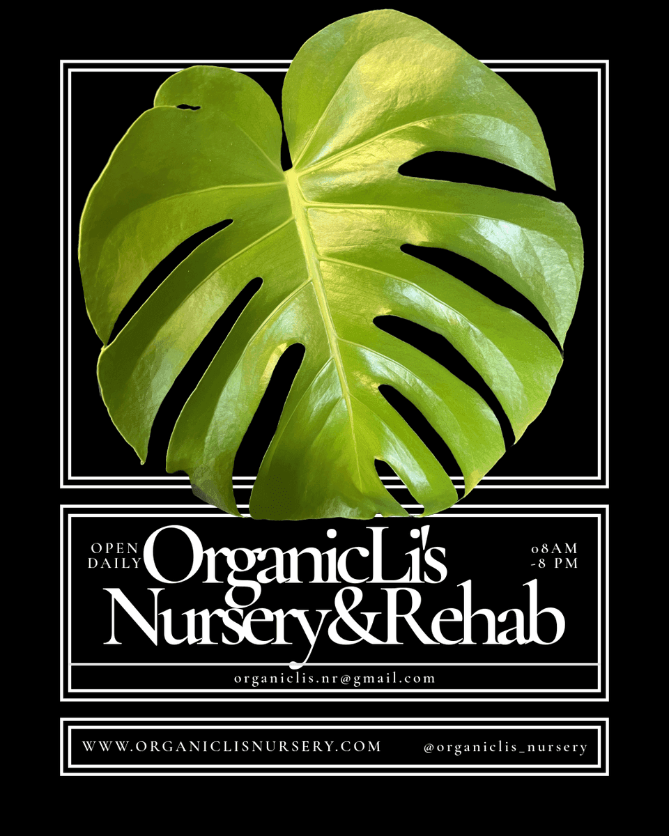 OrganicLi's Nursery & Rehab LLC
