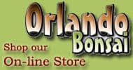 Orlando Bonsai