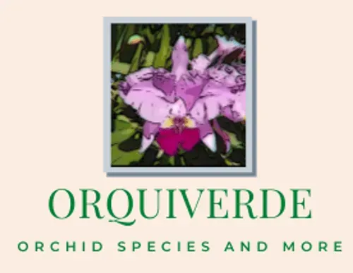 ORQUIVERDE, LLC