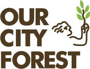 Our City Forest Community Nursery
