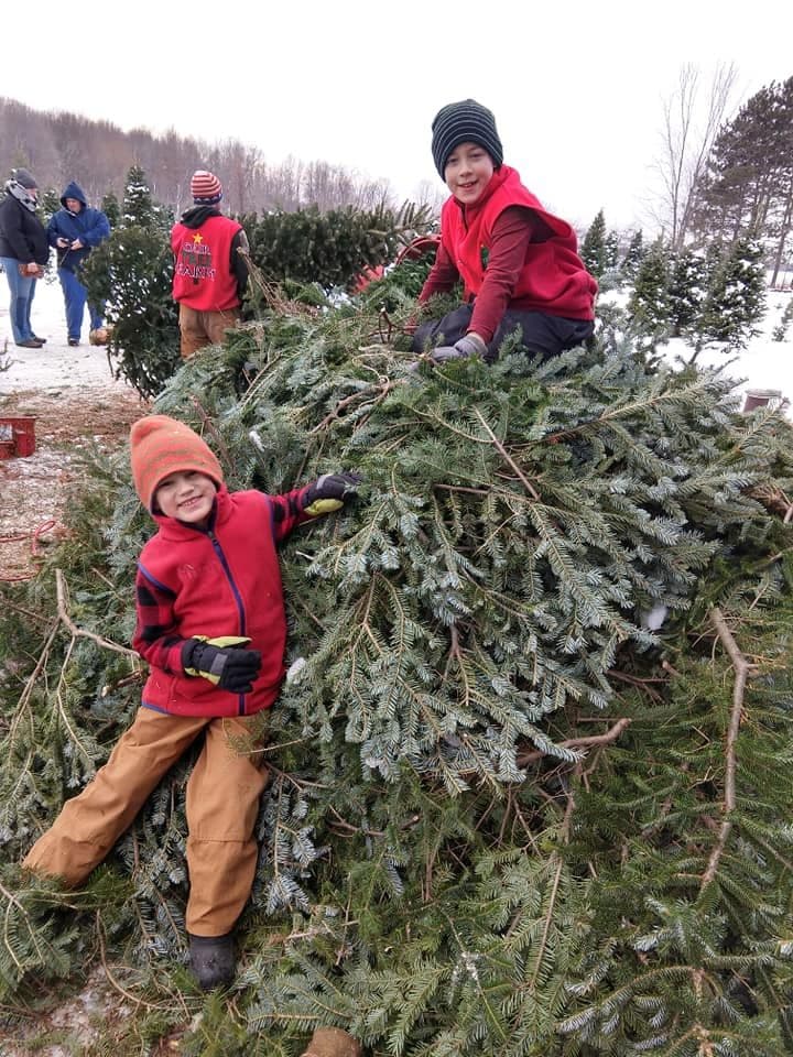 Our Tree Farm