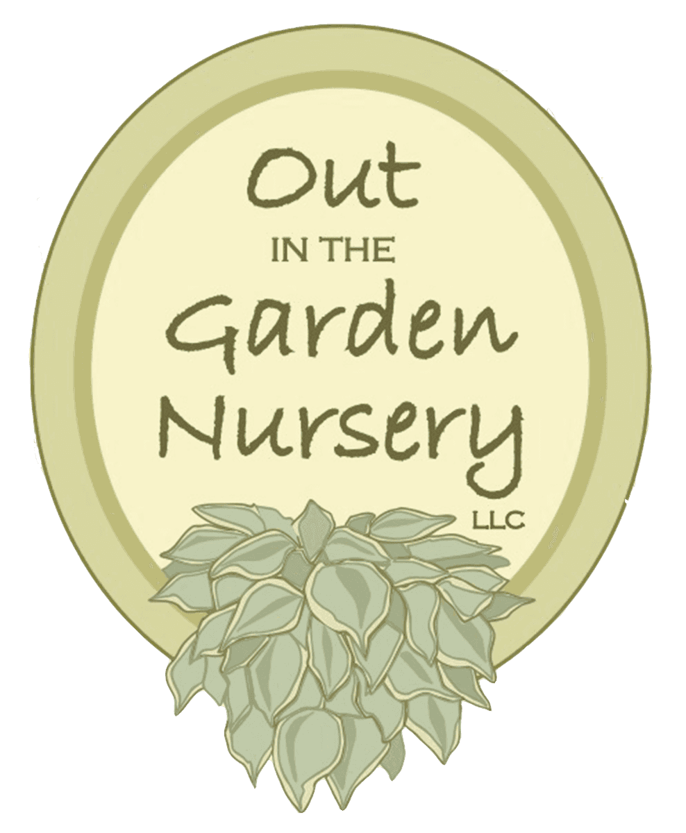 Out in the Garden Nursery