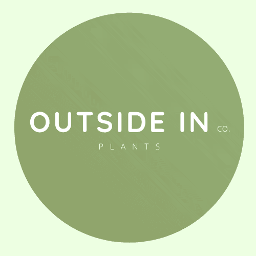 Outside In Plants