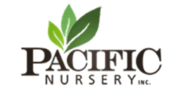 Pacific Nursery