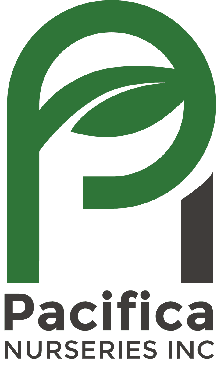 Pacifica Nursery Inc