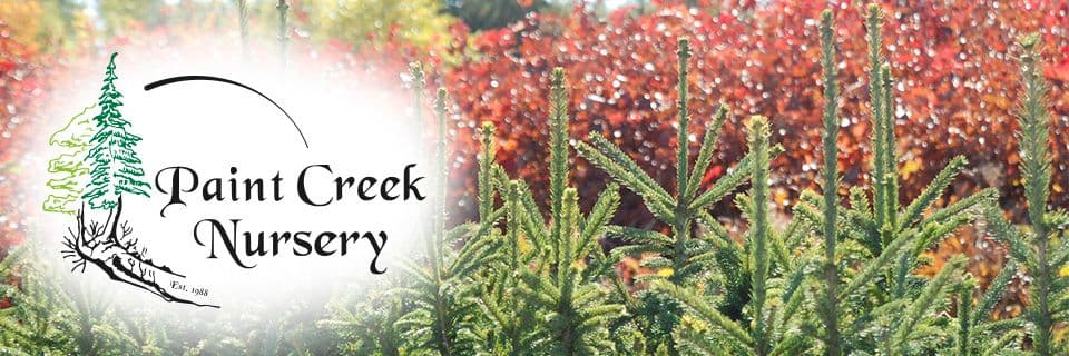 Paint Creek Nursery & Tree Farm