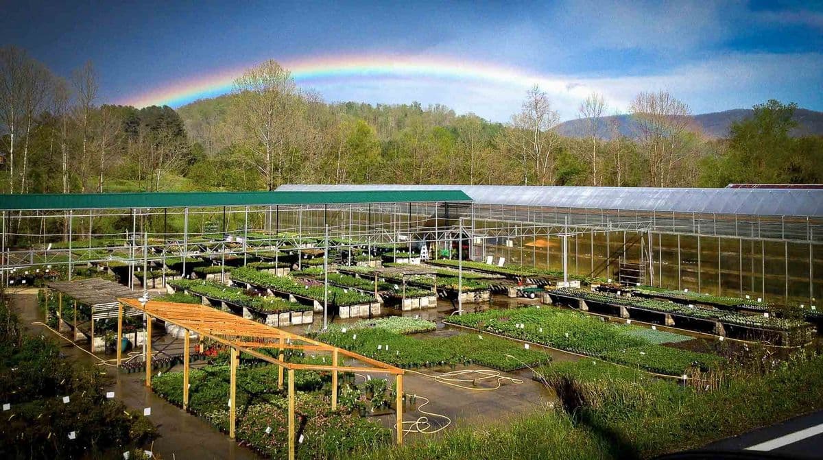 Painters Greenhouse