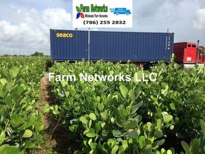 Palm Beach Nursery Growers