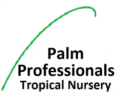 Palm Professionals Tropical Nursery #2