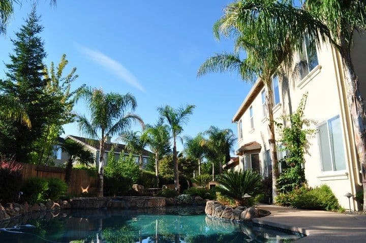Palm Trees and Plants