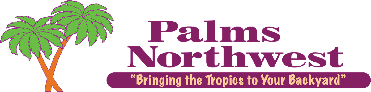 Palms Northwest