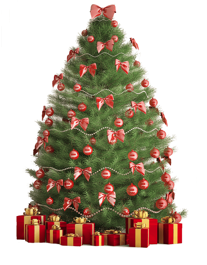 Papa Noel Christmas Trees BeeCave