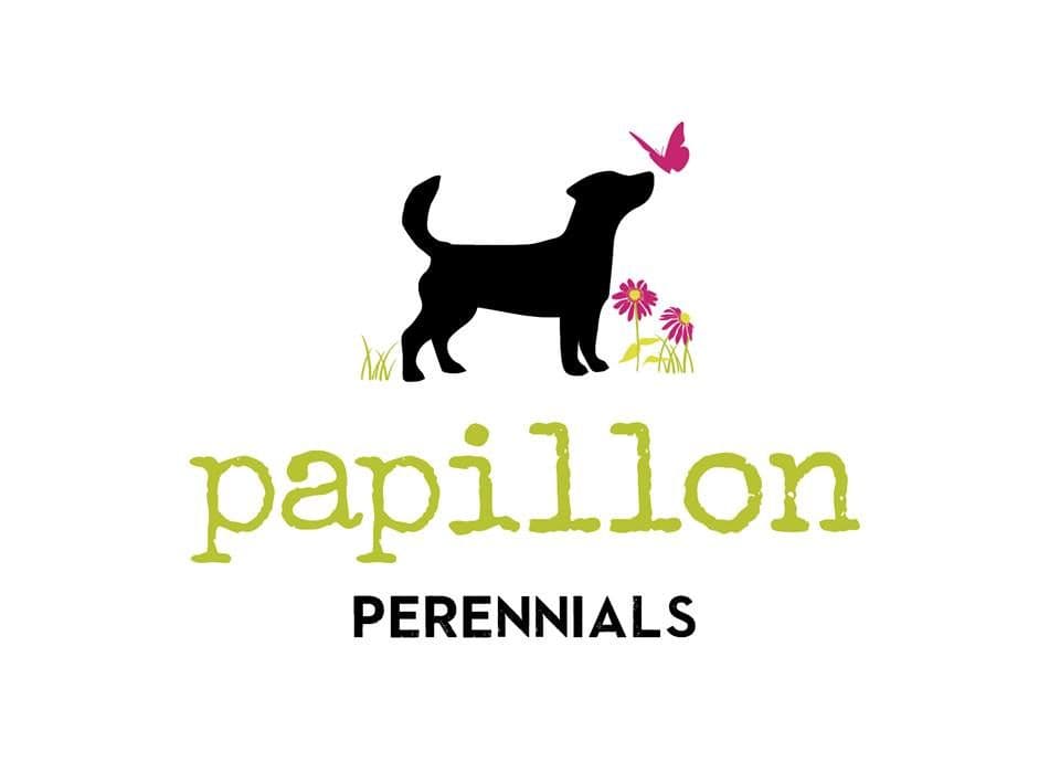 Papillon Perennials