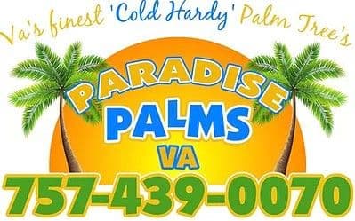 Paradise Palms Va Beach