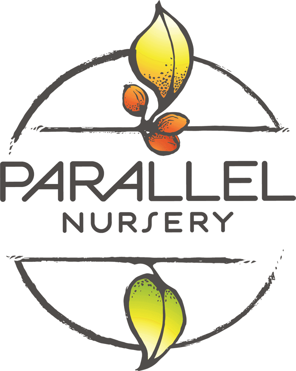 Parallel Nursery