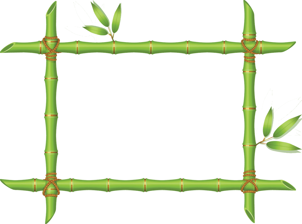 Paso Bamboo. Bamboo Farm and Nursery