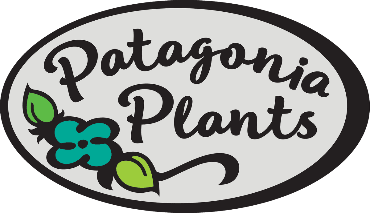 Patagonia Plants