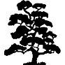 Patterson Nursery Sales Inc