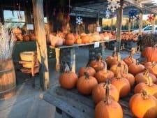 Paul Bunyan's Farm & Nursery