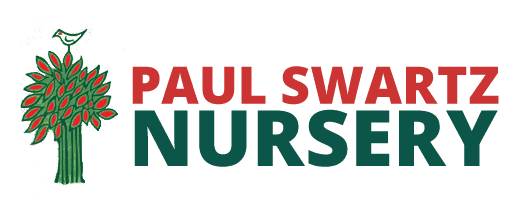 Paul Swartz Nursery