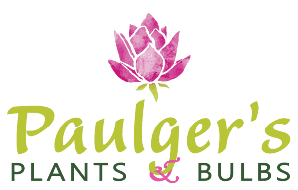 Paulger's Plants & Bulbs