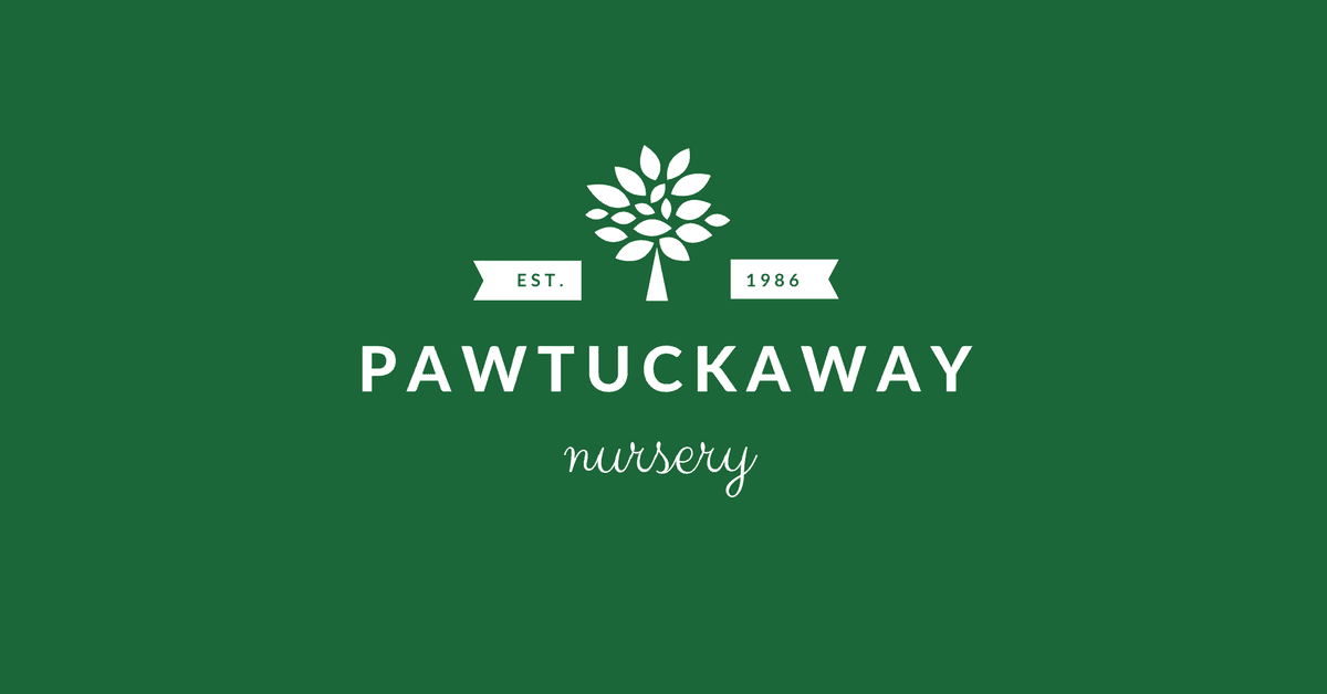 Pawtuckaway Nursery Corporation