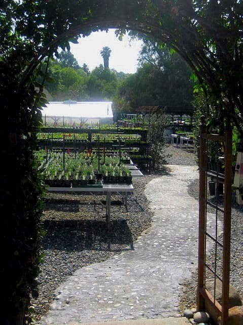 Pearson's Gardens & Herb Farm