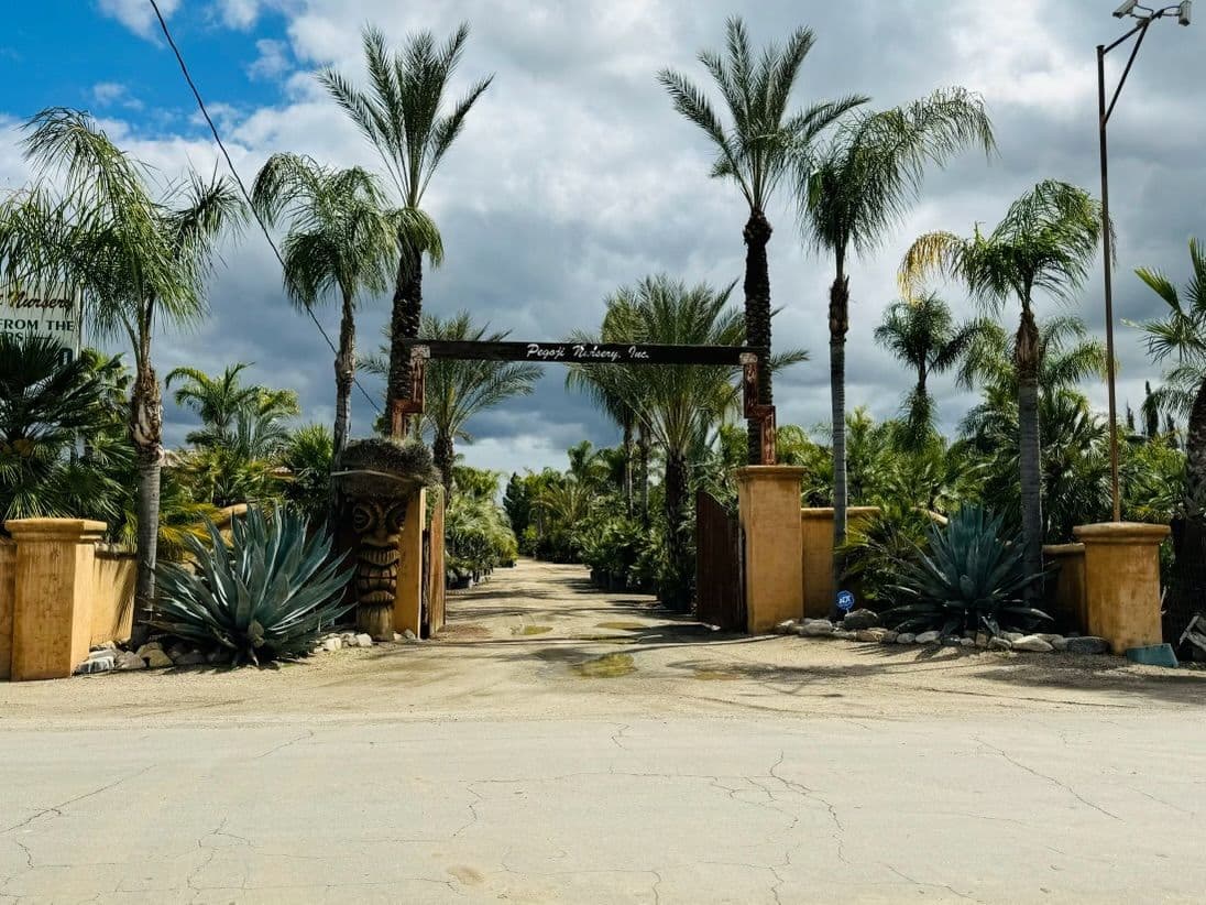 Pegoji Nursery Inc