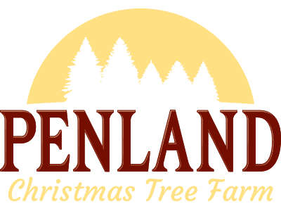 Penland Christmas Tree Farm