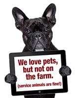 Pennings Farm Market