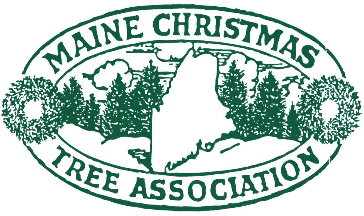 Penobscot Evergreens Christmas Tree Farm